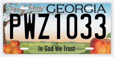 GA license plate PWZ1033