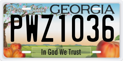 GA license plate PWZ1036