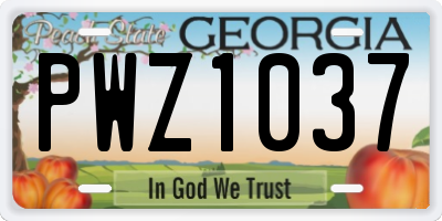GA license plate PWZ1037