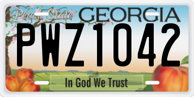 GA license plate PWZ1042
