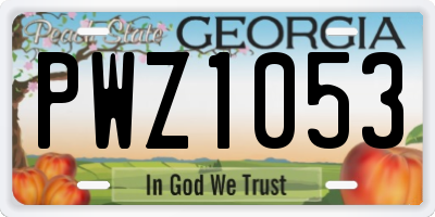 GA license plate PWZ1053