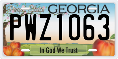 GA license plate PWZ1063