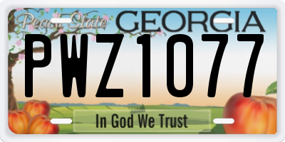 GA license plate PWZ1077