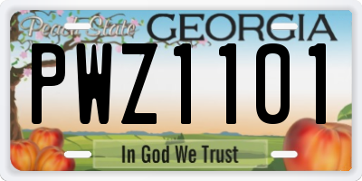 GA license plate PWZ1101