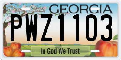 GA license plate PWZ1103