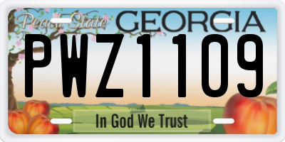 GA license plate PWZ1109