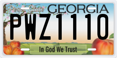 GA license plate PWZ1110