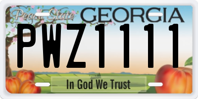 GA license plate PWZ1111