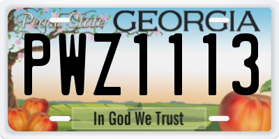 GA license plate PWZ1113