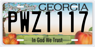 GA license plate PWZ1117