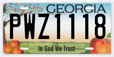 GA license plate PWZ1118