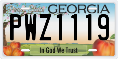 GA license plate PWZ1119