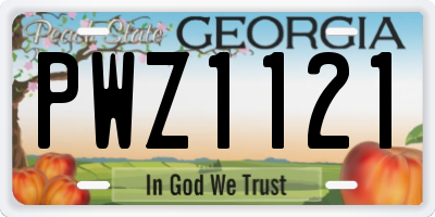 GA license plate PWZ1121