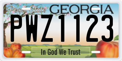 GA license plate PWZ1123
