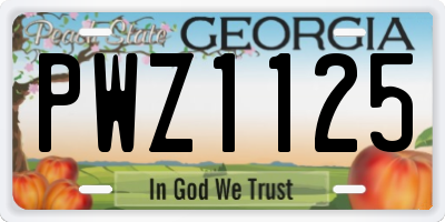 GA license plate PWZ1125