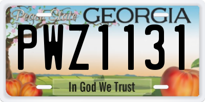 GA license plate PWZ1131