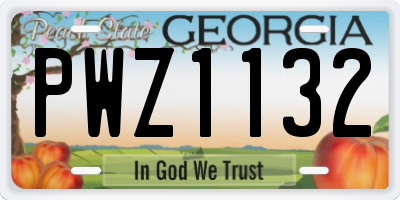 GA license plate PWZ1132