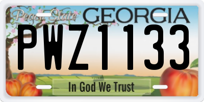 GA license plate PWZ1133