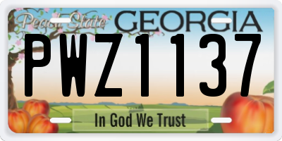 GA license plate PWZ1137
