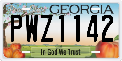 GA license plate PWZ1142