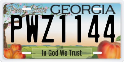 GA license plate PWZ1144