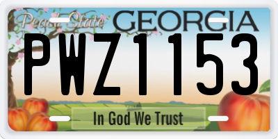 GA license plate PWZ1153