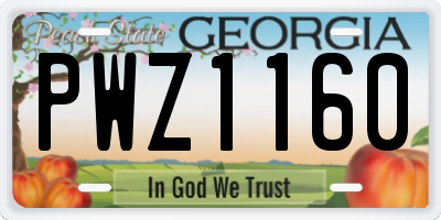 GA license plate PWZ1160