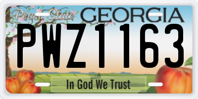 GA license plate PWZ1163