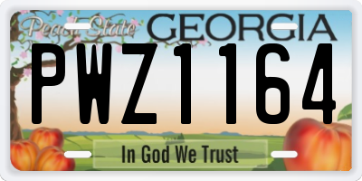 GA license plate PWZ1164