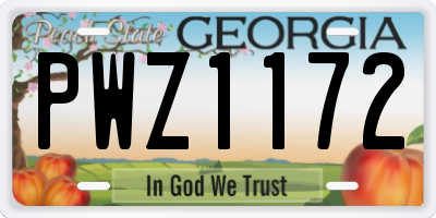 GA license plate PWZ1172