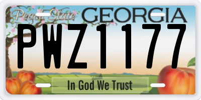 GA license plate PWZ1177
