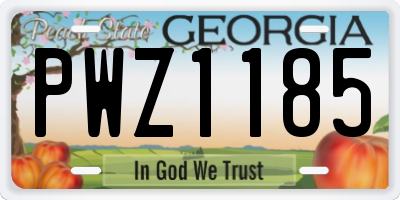 GA license plate PWZ1185
