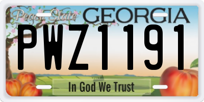 GA license plate PWZ1191