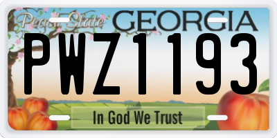 GA license plate PWZ1193