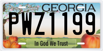 GA license plate PWZ1199