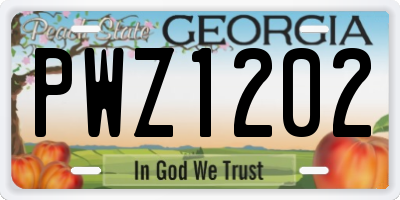GA license plate PWZ1202
