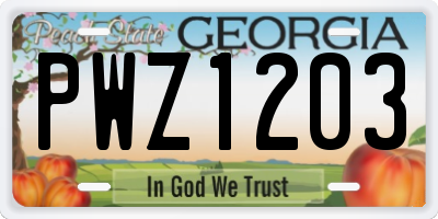 GA license plate PWZ1203