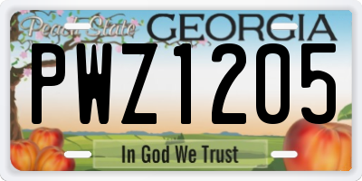 GA license plate PWZ1205