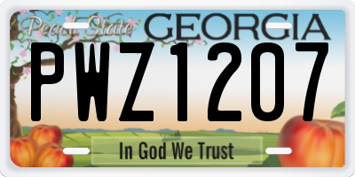 GA license plate PWZ1207