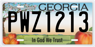 GA license plate PWZ1213