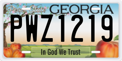 GA license plate PWZ1219