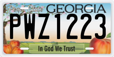 GA license plate PWZ1223