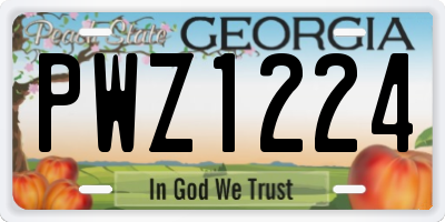 GA license plate PWZ1224