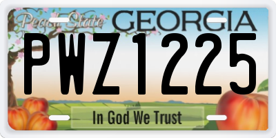 GA license plate PWZ1225