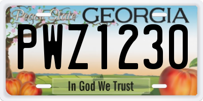 GA license plate PWZ1230