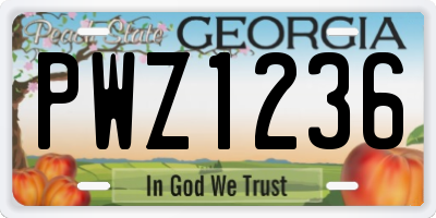 GA license plate PWZ1236
