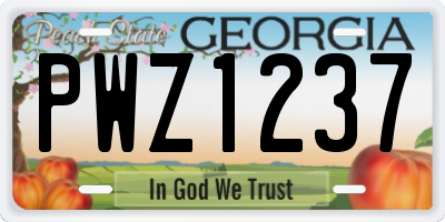 GA license plate PWZ1237