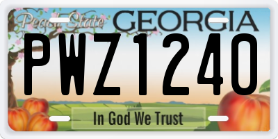 GA license plate PWZ1240