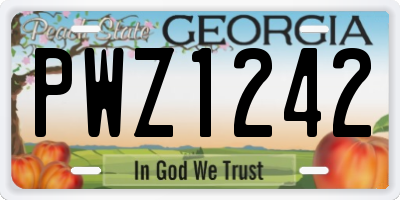 GA license plate PWZ1242