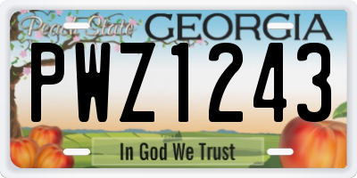 GA license plate PWZ1243
